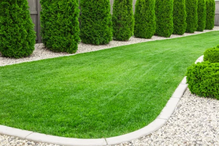 HM Lawns Gold Coast | Worongary Rd, Tallai QLD 4213, Australia | Phone: 0437 446 033