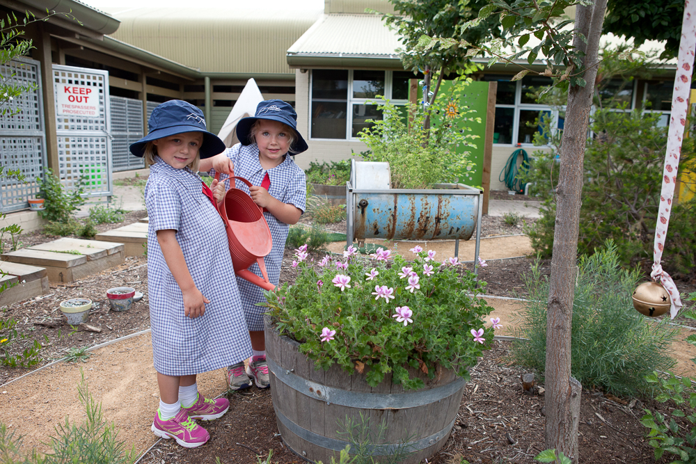 Fadden Primary School | school | Hanlon Cres, Fadden ACT 2904, Australia | 0261422460 OR +61 2 6142 2460