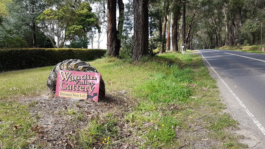 Wandin Valley Cattery | 283 Monbulk Rd, Silvan VIC 3795, Australia | Phone: (03) 9737 9875