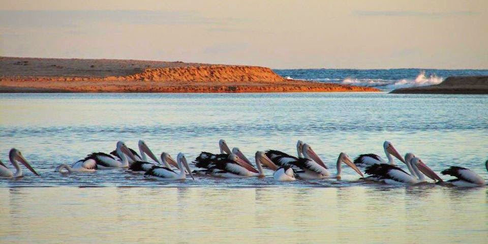 Dongara Port Denison Visitor Centre | 9 Waldeck St, Dongara WA 6525, Australia | Phone: (08) 9927 1404