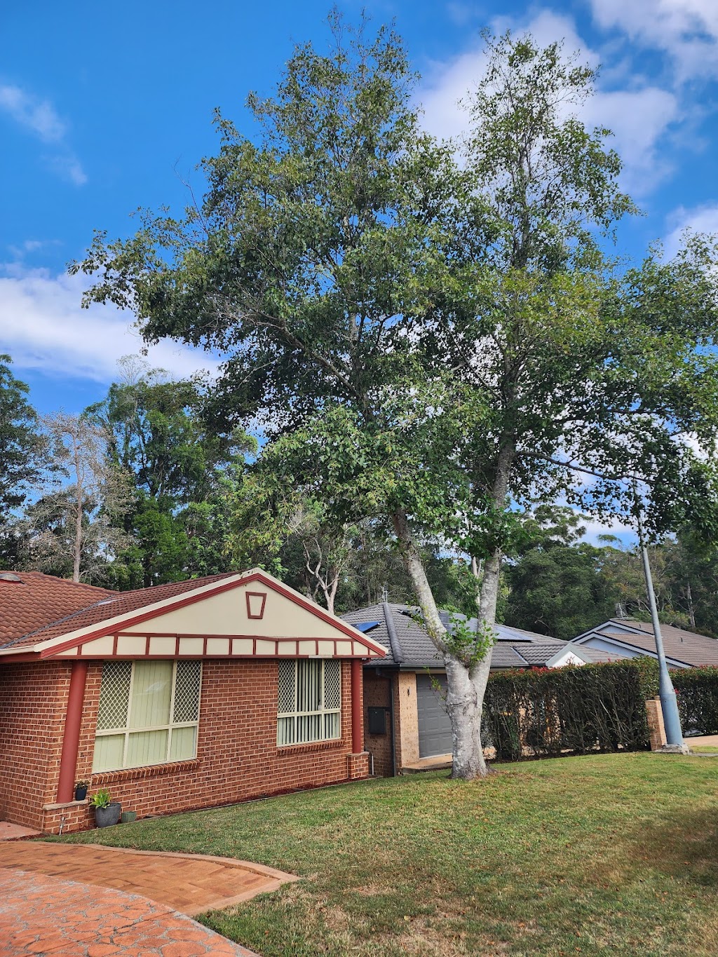 Coastal Trees | 94 Aloha Dr, Chittaway Bay NSW 2261, Australia | Phone: 0402 661 491