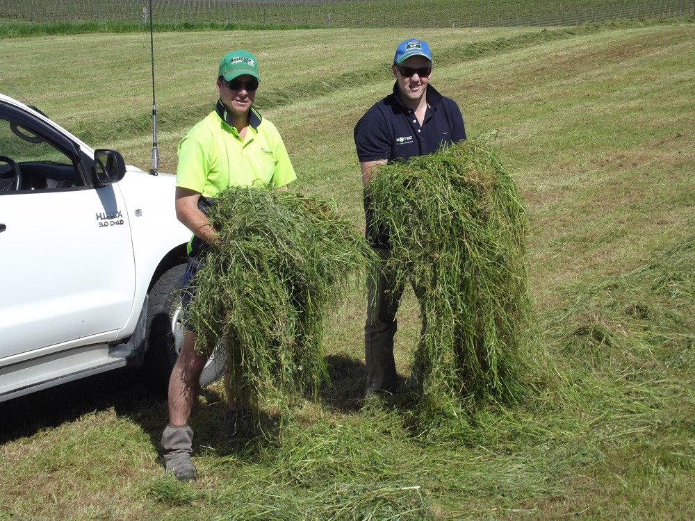 AG Warehouse - North West Fertiliser | 23 Railway Ave, Leitchville VIC 3567, Australia | Phone: (03) 5456 8802