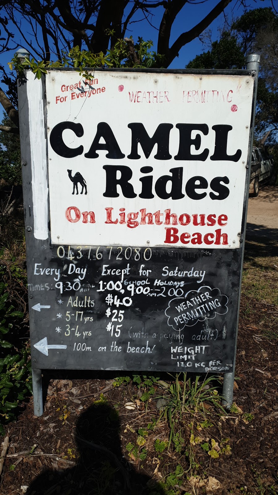 Camel Ride on Lighthouse Beach | 161-163 Matthew Flinders Dr, Port Macquarie NSW 2444, Australia