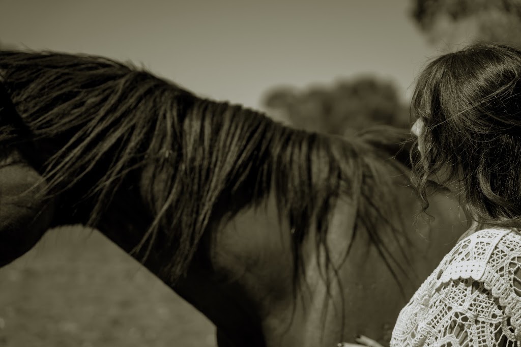 Somatic Equine Energy | Pearcedale Rd, Cranbourne South VIC 3977, Australia | Phone: 0434 437 637