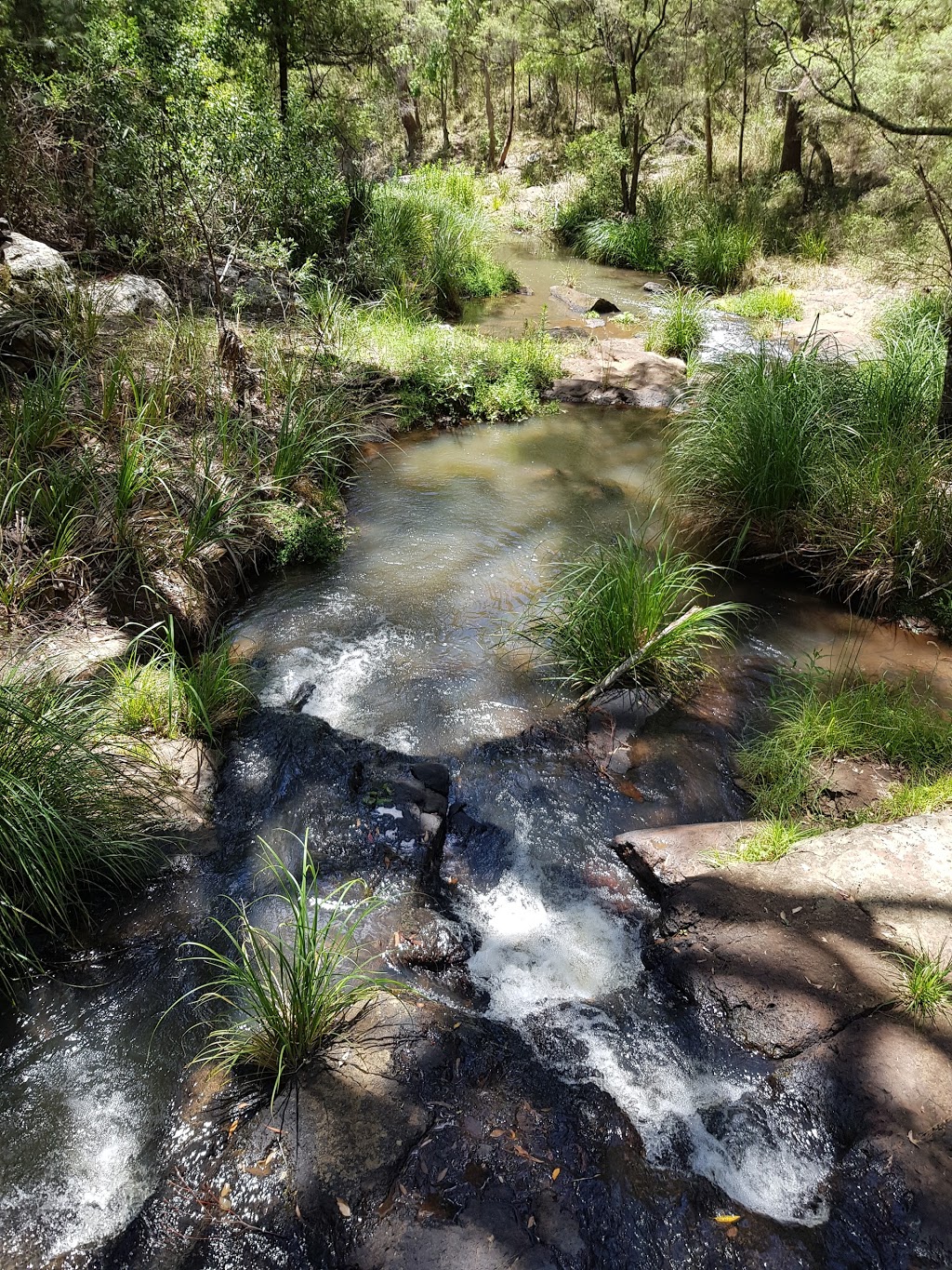 Queen Mary Falls | park | Spring Creek Rd, The Falls QLD 4373, Australia