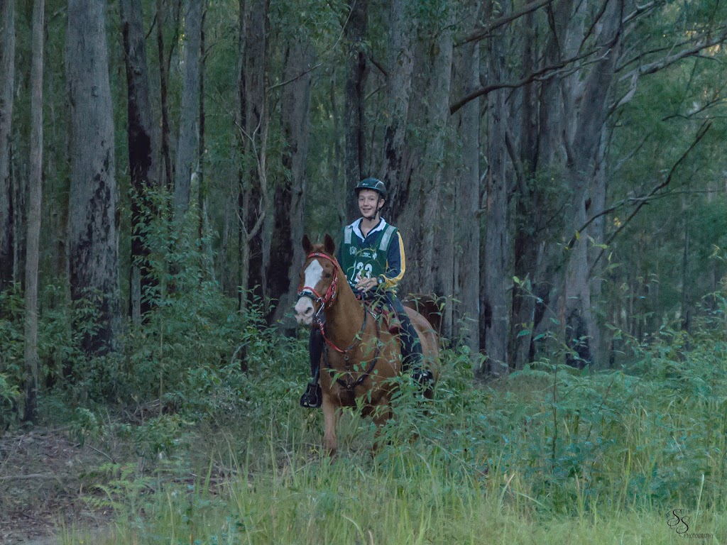 Nicker and Whinny Endurance Riding | 350 Grandview Rd, Pullenvale QLD 4069, Australia | Phone: 0401 060 012