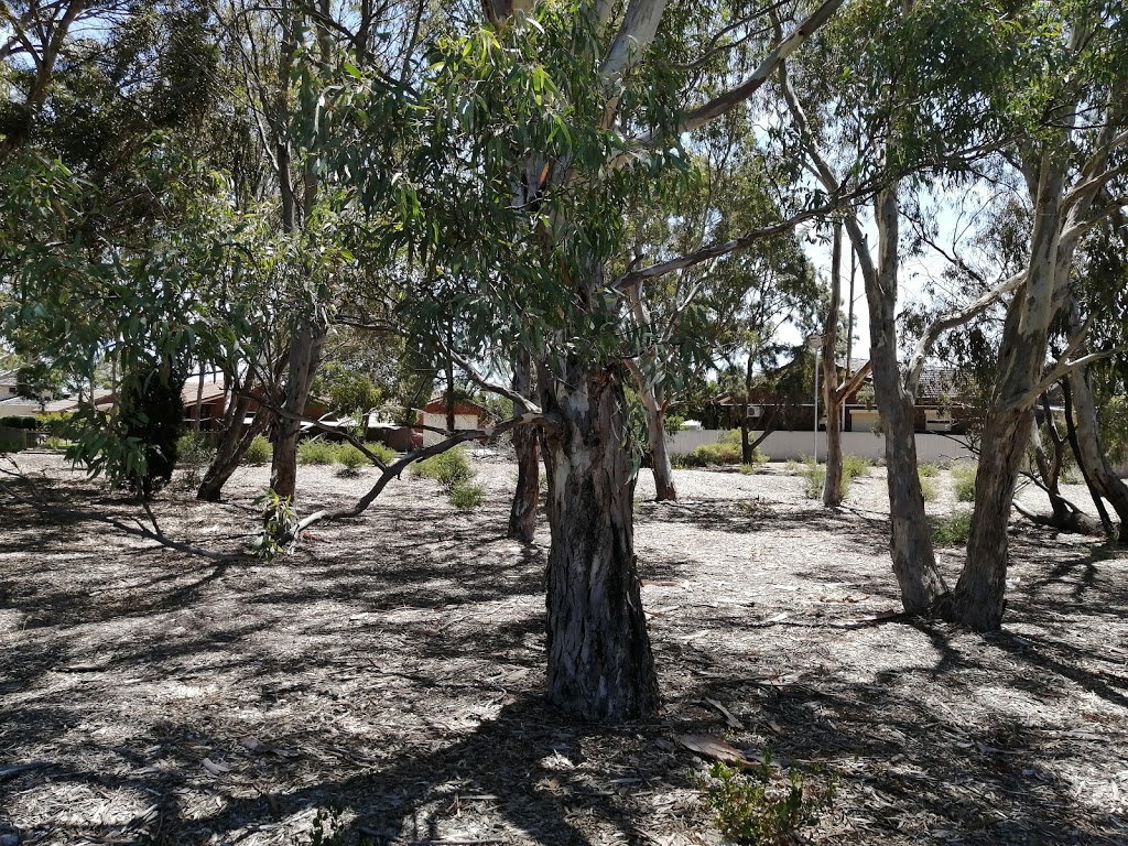 Padulesi Park | 14 Antares Way, Athelstone SA 5076, Australia