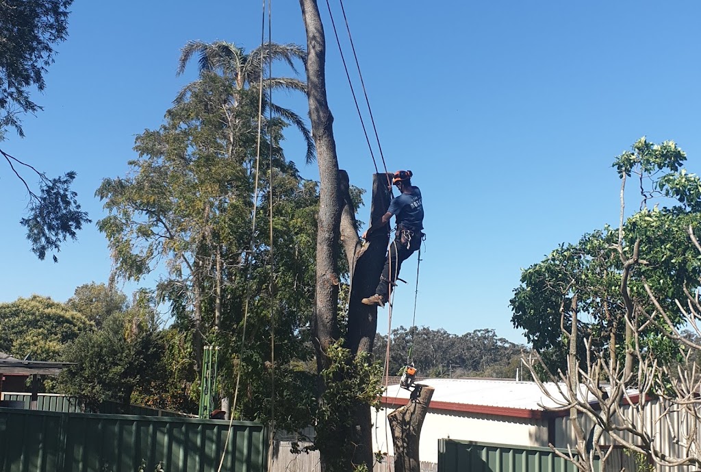 NATIVE TREE SERVVICES | 343 Cabbage Tree Rd, Williamtown NSW 2318, Australia | Phone: 0422 174 966