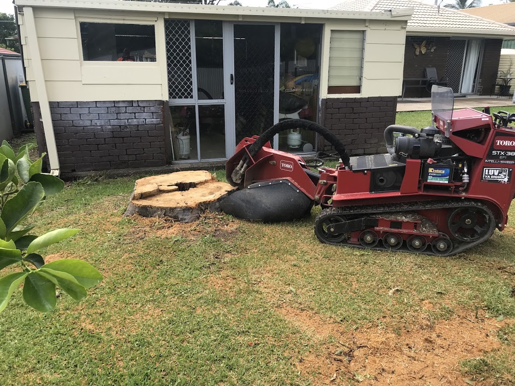 Extreme Stump Grinding | 124 Pub Ln, Greenbank QLD 4124, Australia | Phone: 0477 702 912