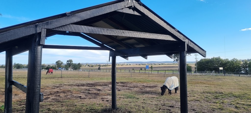 Highview park equestrian |  | 17341 New England Hwy, Allora QLD 4362, Australia | 0416882560 OR +61 416 882 560