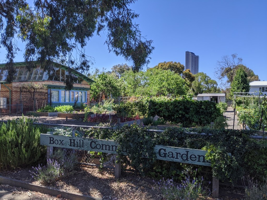 Combarton Street Community Gardens | 3 Combarton St, Box Hill VIC 3128, Australia
