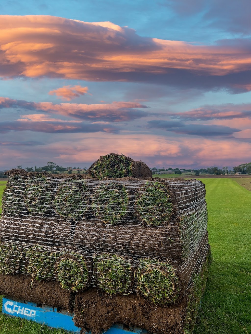 Harmony Turf | 108 Pitt Town Ferry Rd, Wilberforce NSW 2756, Australia | Phone: 0406 112 132