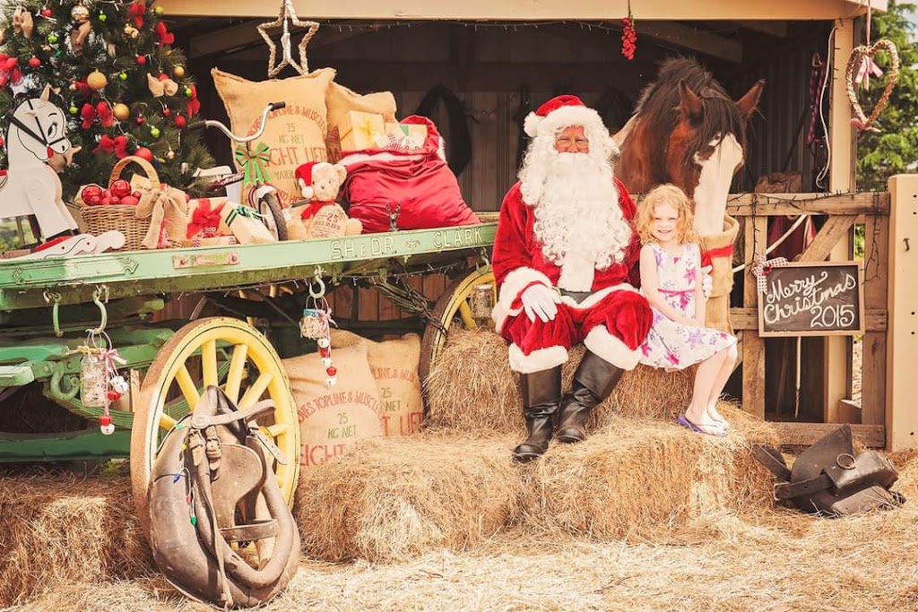 Drouin Santa Photos | 51 Wellwood Rd, Drouin VIC 3818, Australia | Phone: 0412 942 897