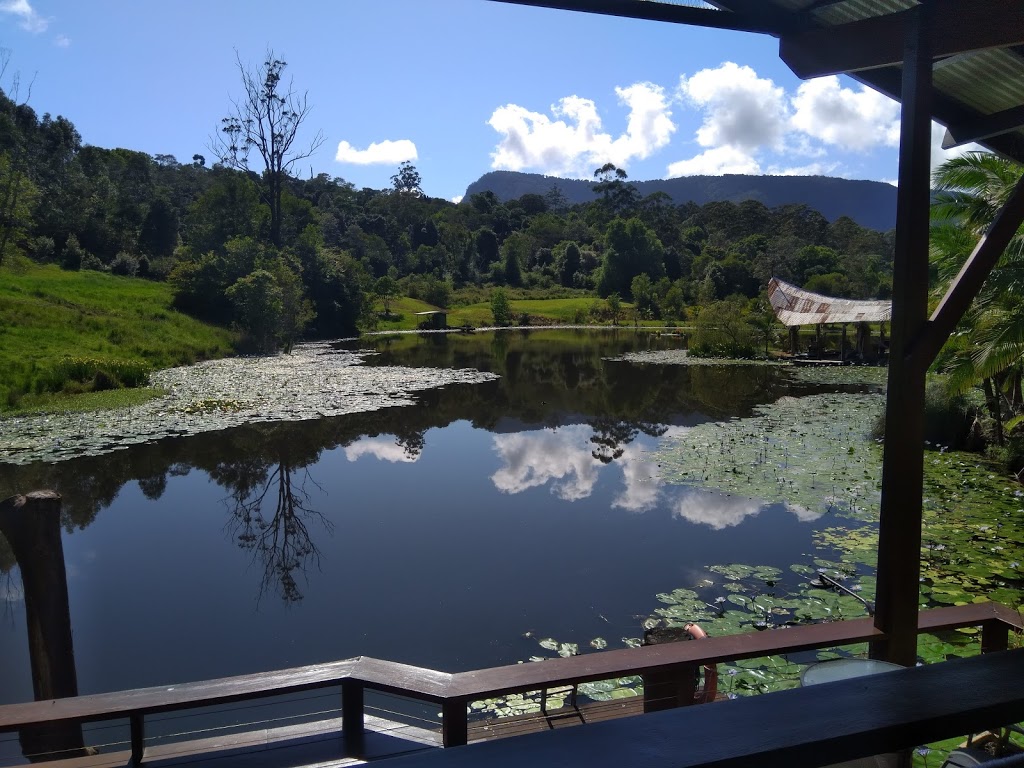 Frog Hollow Lakehouse B&B | 3937 Kyogle Rd, Lillian Rock NSW 2480, Australia | Phone: (02) 6689 7353