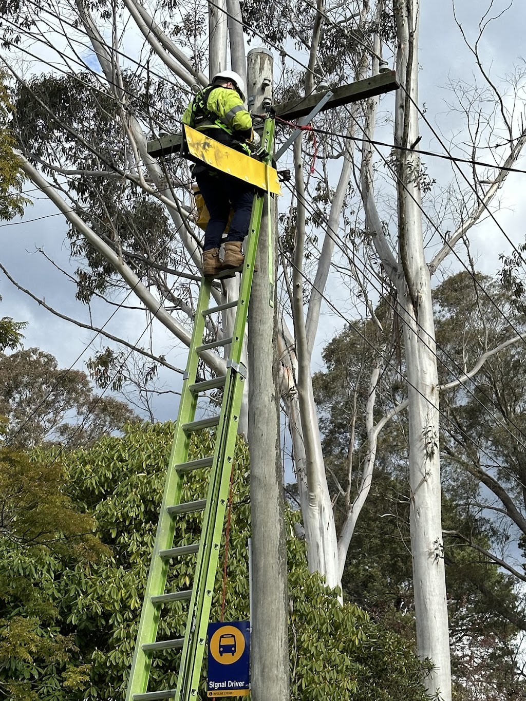 Electrical Pty Ltd | 129 Boronia Rd, Bullaburra NSW 2784, Australia | Phone: 0423 071 049