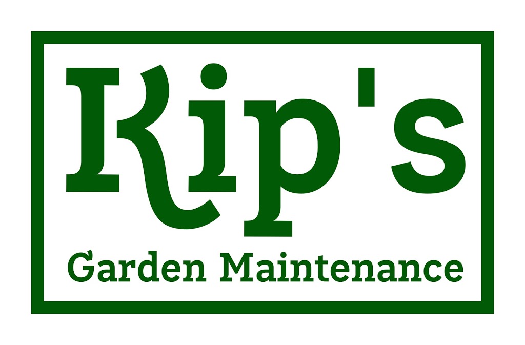 Kips Garden Maintenance | general contractor | 40 Donkin St, Scarborough QLD 4020, Australia | 0405975399 OR +61 405 975 399