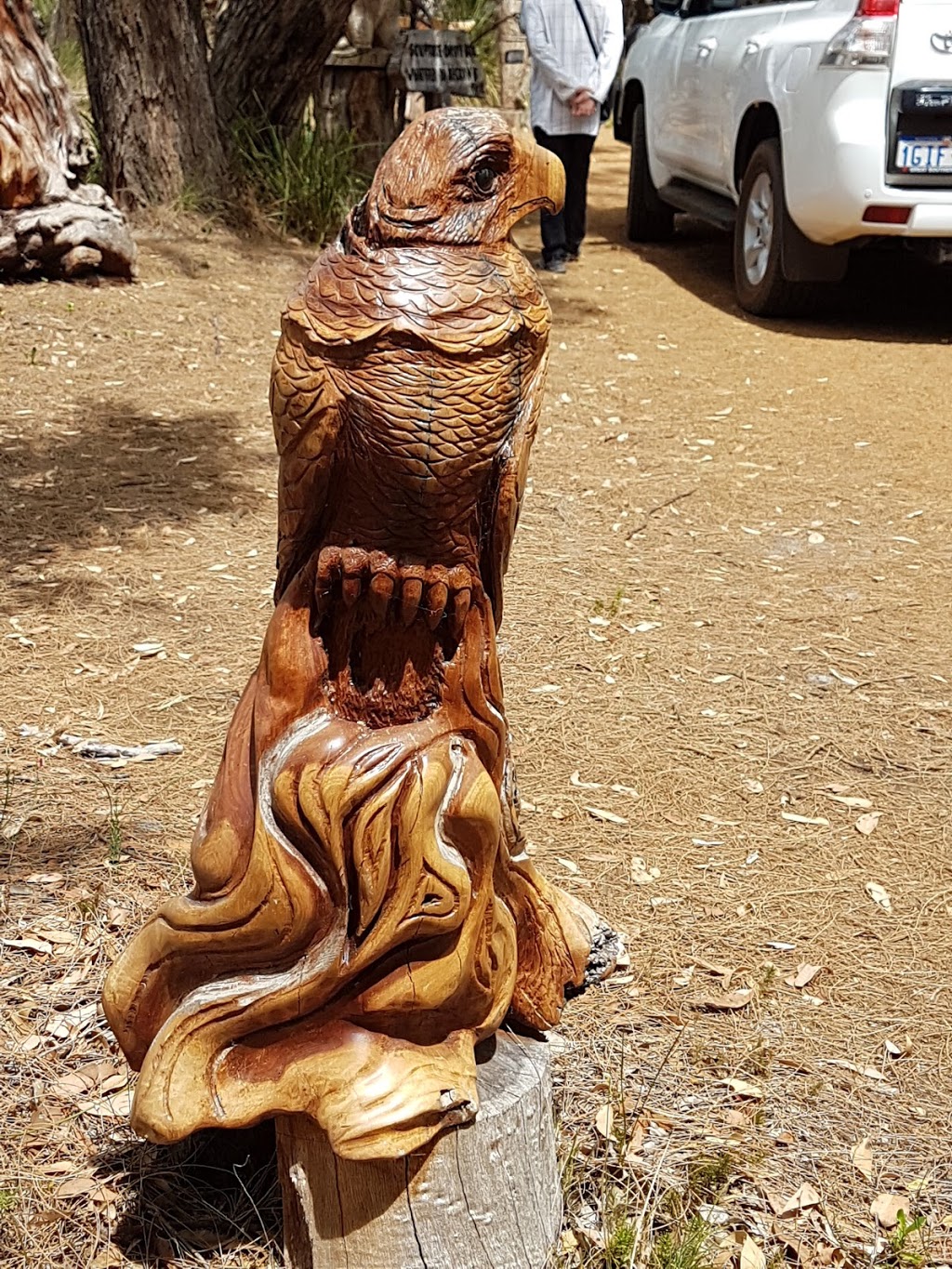 Wood Skulptures | 333 Mercer Rd, Walmsley WA 6330, Australia