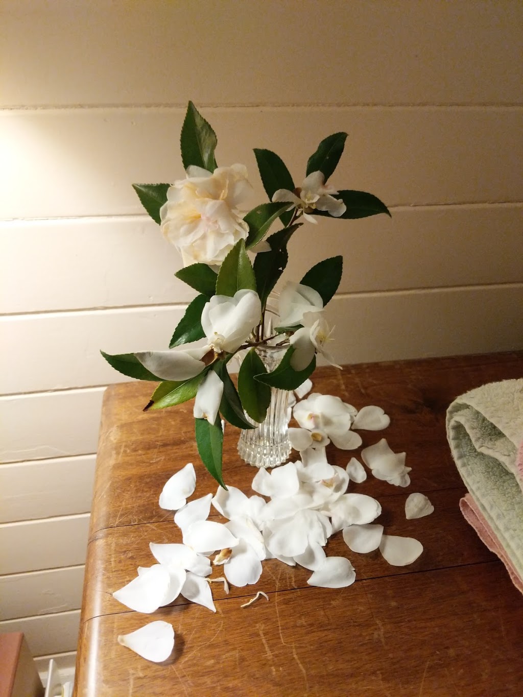 Leura Cottage | Napier St, Leura NSW 2780, Australia | Phone: 0416 843 782