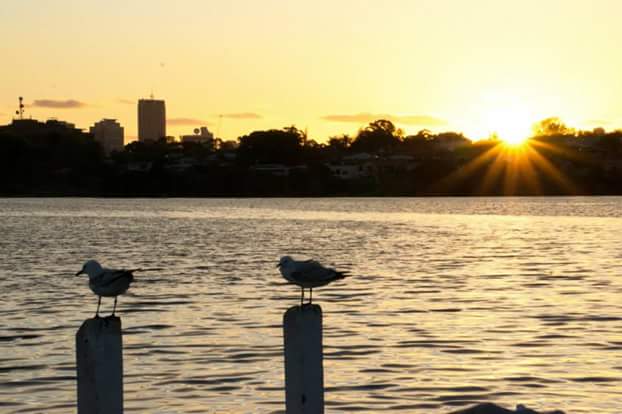 Maylands Jetty | East St, Maylands WA 6051, Australia | Phone: 0400 265 071