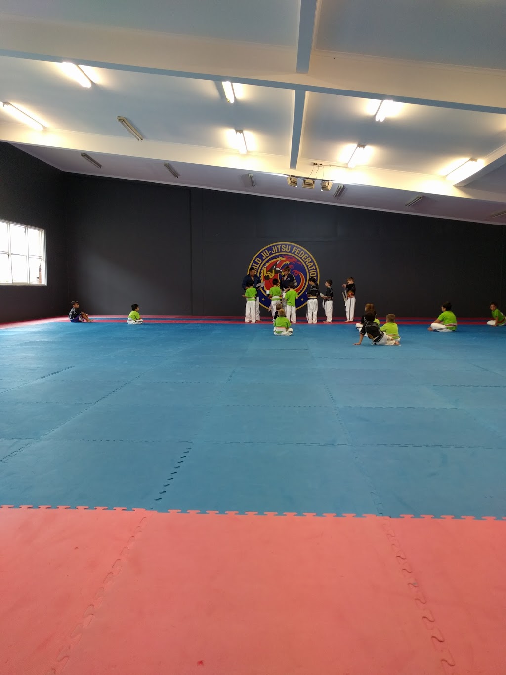 World Jujitsu Federation | gym | 317 Concord Rd, Concord West NSW 2138, Australia