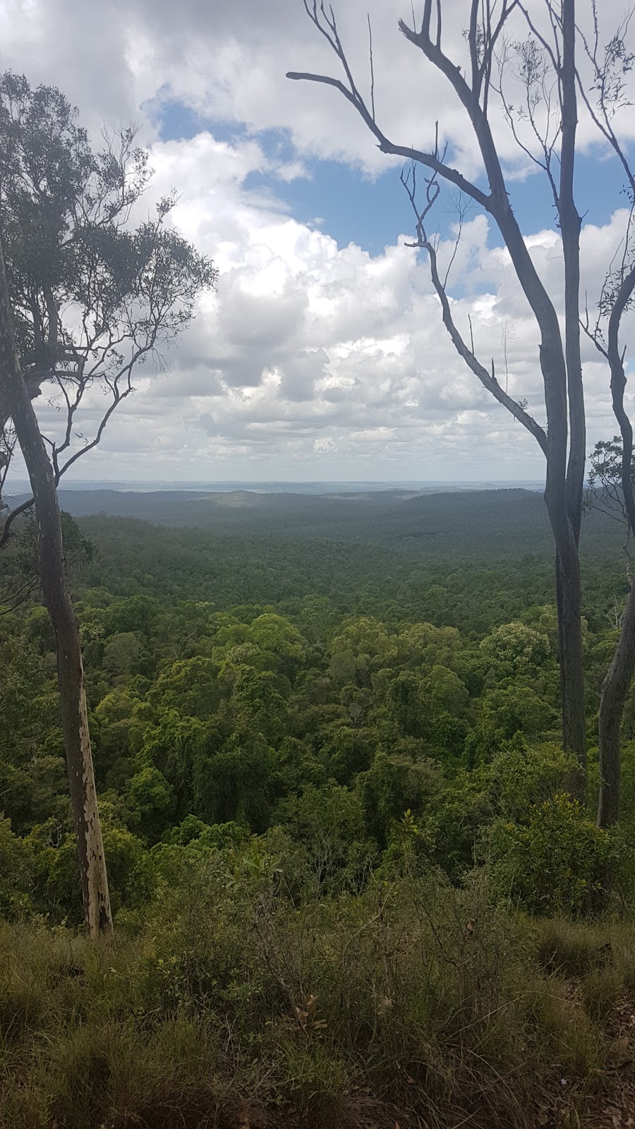 Coominglah State Forest | park | Coominglah Forest QLD 4630, Australia