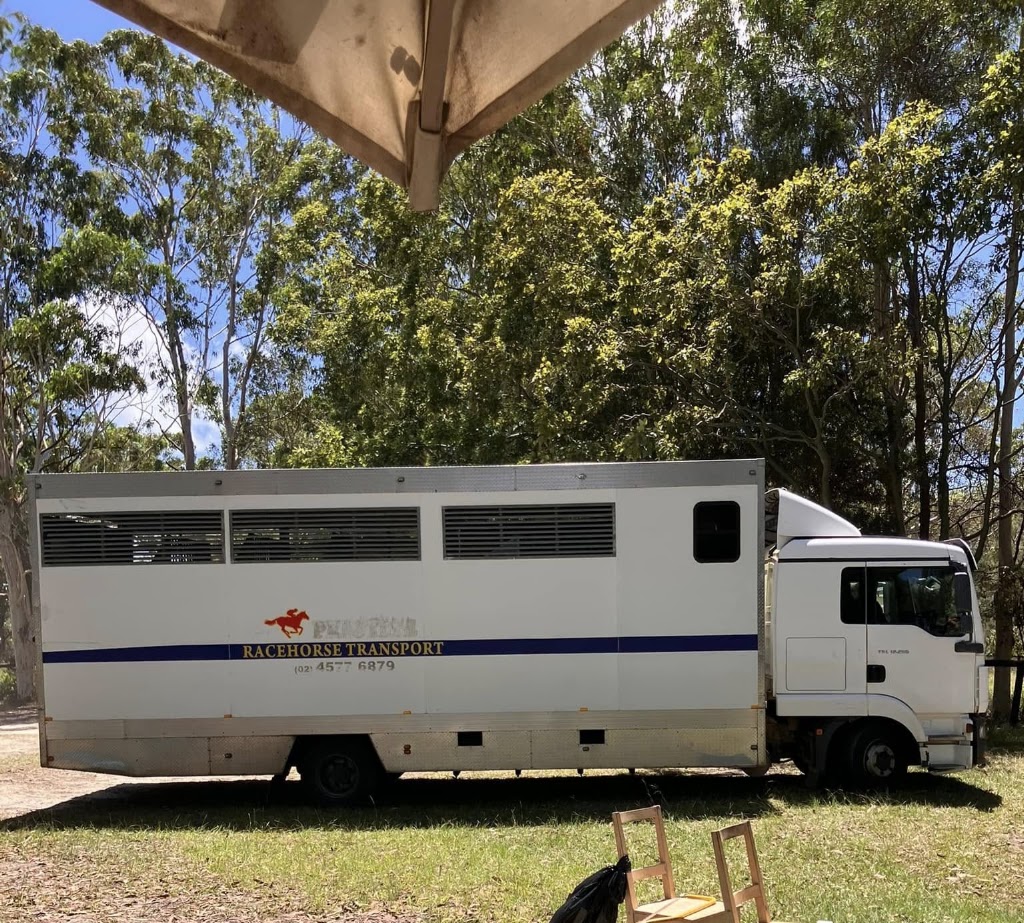 Embrace Farm | 1047 Steve Irwin Wy, Glass House Mountains QLD 4518, Australia | Phone: 0423 467 733