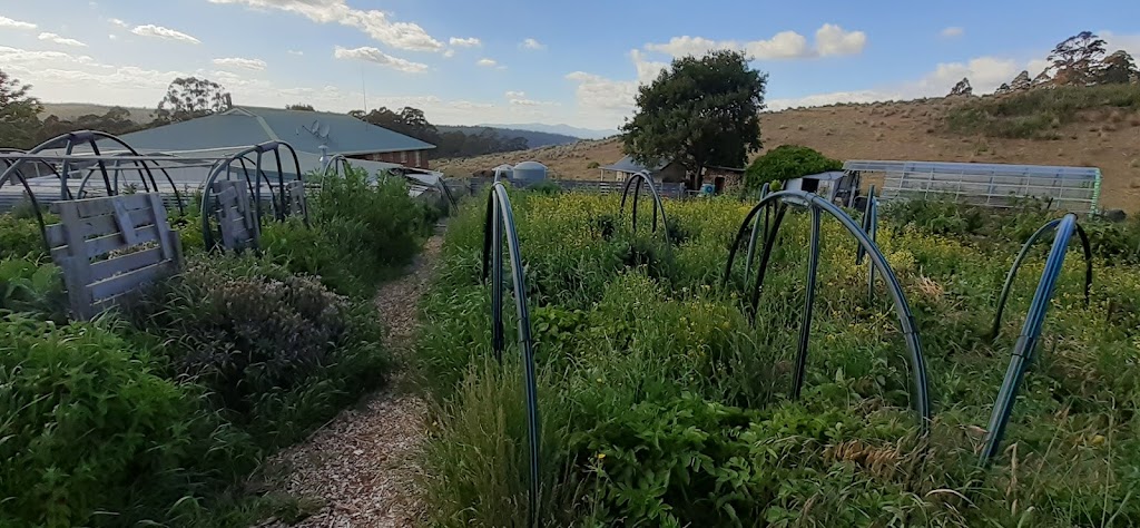 Tiger Hill Permaculture |  | Tiger Hill, 951 Sand River Rd, Buckland TAS 7190, Australia | 0362575128 OR +61 3 6257 5128