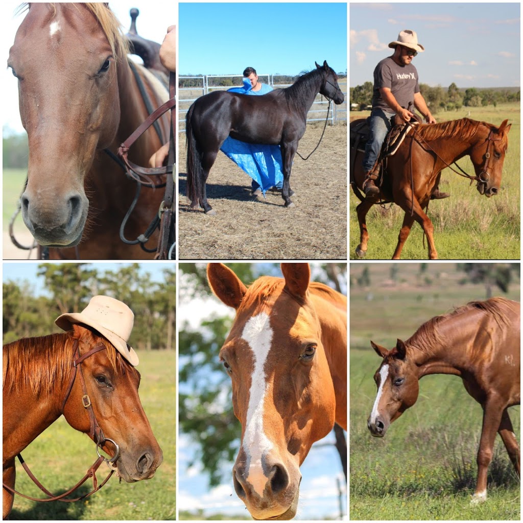 Done Roamin Horsemanship | 3935 Stonehenge Rd, Kooroongarra QLD 4357, Australia | Phone: 0439 307 779