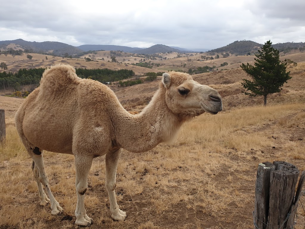 Tabandy Farm | Tabandy, 83 Tantawangalo Mountain Rd, Candelo NSW 2550, Australia | Phone: 0410 016 636