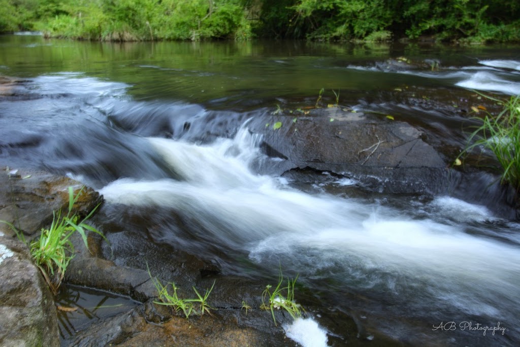 Gardners Falls | tourist attraction | Obi Ln S, Maleny QLD 4552, Australia | 0754757272 OR +61 7 5475 7272