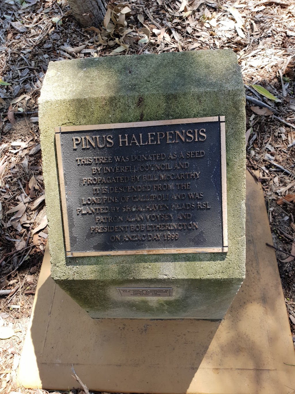 Shoalhaven Heads Memorial Park | park | Shoalhaven Heads NSW 2535, Australia