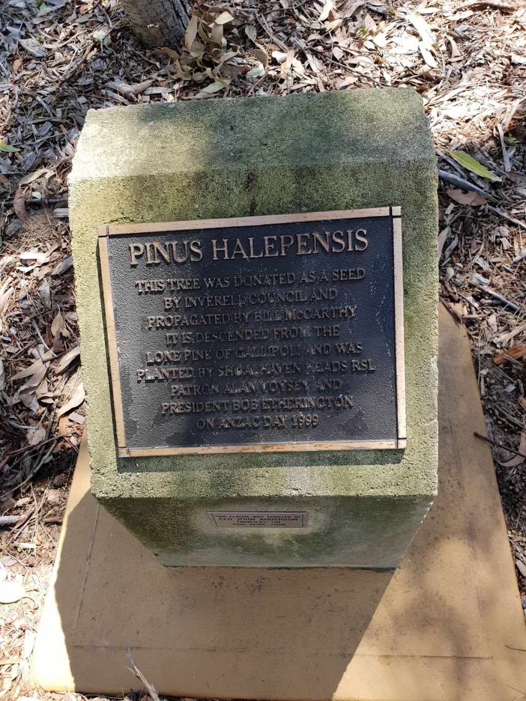 Shoalhaven Heads Memorial Park | Shoalhaven Heads NSW 2535, Australia