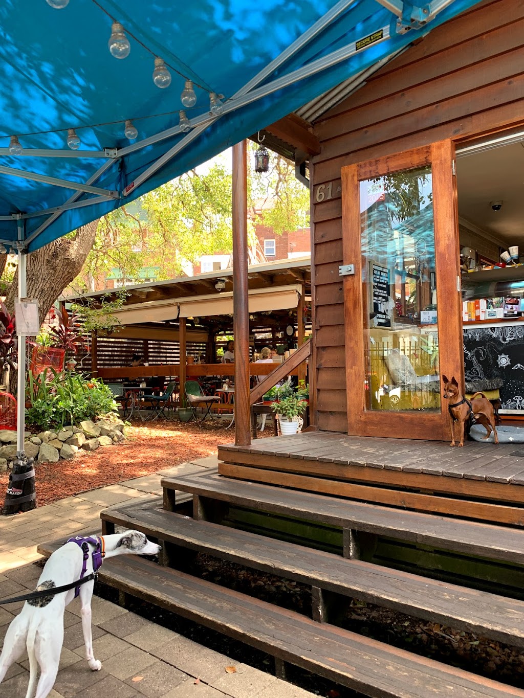 Botanica Garden Cafe | 61A Bay Rd, Waverton NSW 2060, Australia | Phone: 0449 821 909