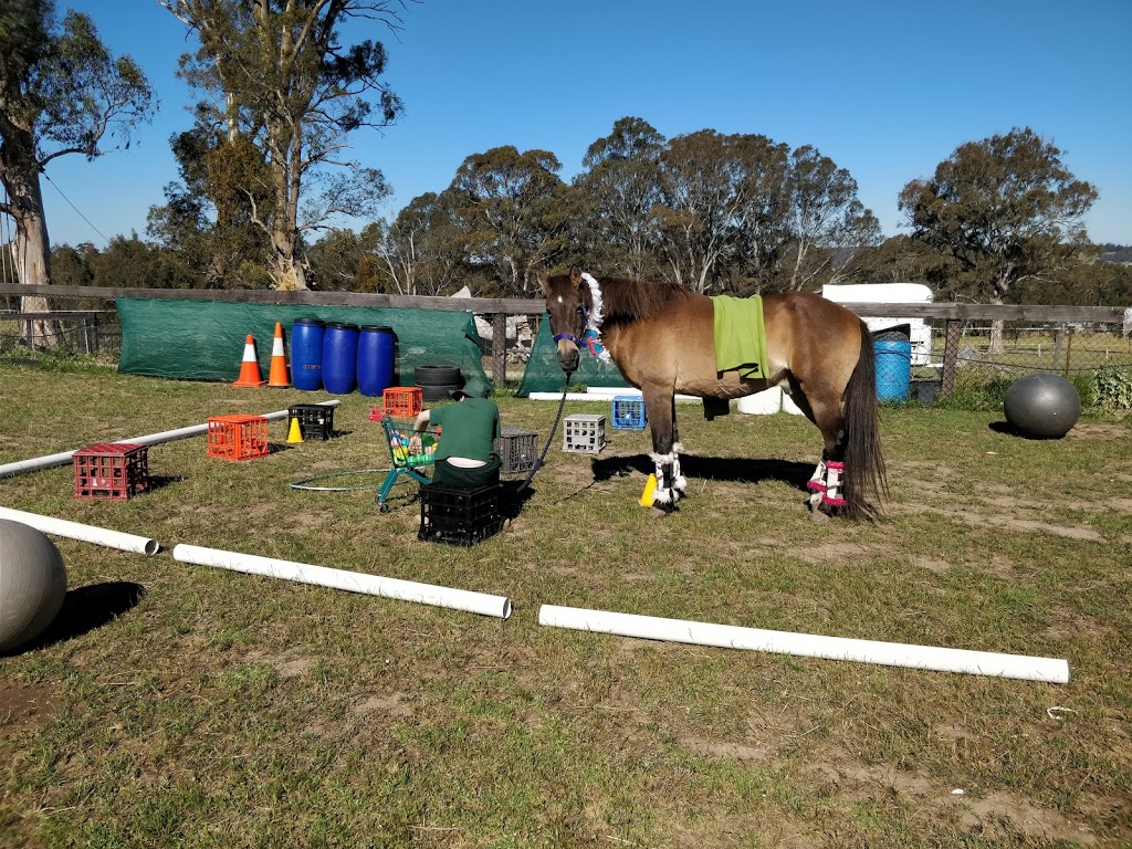 Equine Fusion | 4 Pitt Ln, Sarsfield VIC 3875, Australia | Phone: 0401 603 050