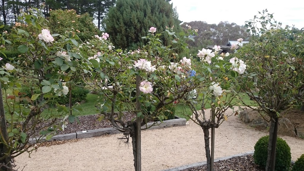 The Scented Rose Garden and Teahouse | cafe | 1725 Bungendore Rd, Bywong NSW 2621, Australia | 0262369596 OR +61 2 6236 9596