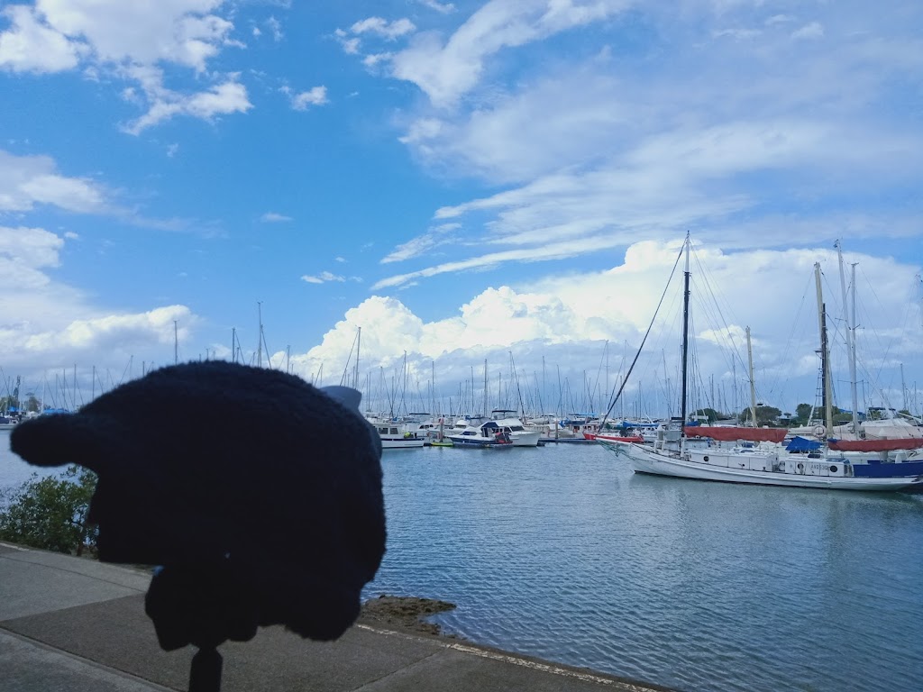 wynnum manly yacht club royal esplanade manly qld