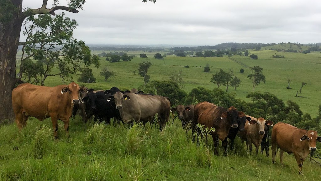 Ian Weir & Son Pty. Ltd. | 205 Lake St, North Lismore NSW 2480, Australia | Phone: 0427 299 104