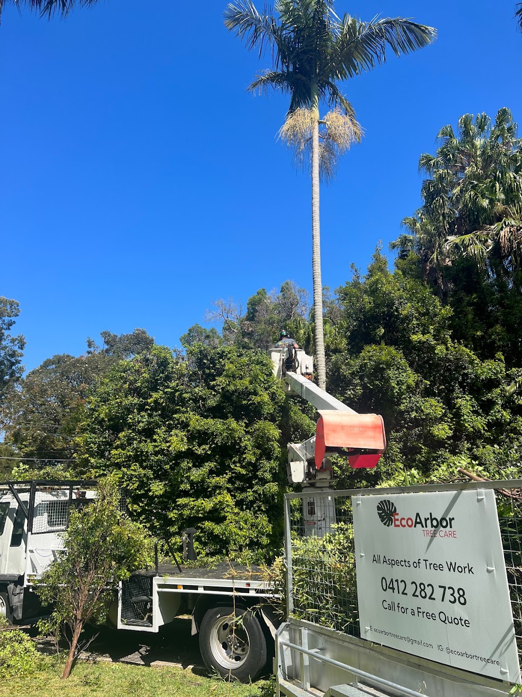 EcoArbor - Tree Care | 72 Surfview Rd, Mona Vale NSW 2103, Australia | Phone: 0412 282 738
