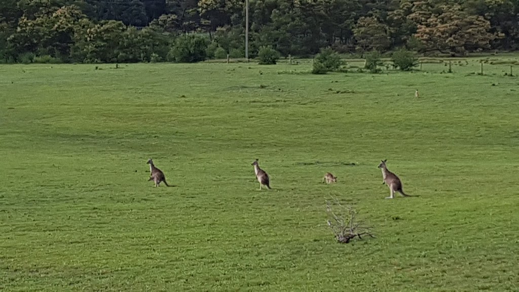 Bountiful Farm House | 628 Jacks Cnr Road, Kangaroo Valley NSW 2577, Australia | Phone: (02) 4465 1538