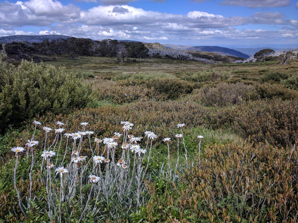 Wallace Hut Carpark | parking | Wallace Heritage Trail, Falls Creek VIC 3699, Australia | 131963 OR +61 131963