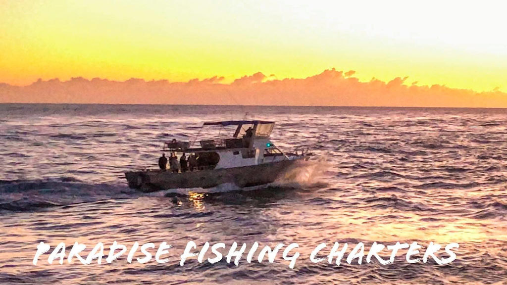Paradise Fishing Charters Gold Coast | 1 Muriel Henchman Dr, Main Beach QLD 4217, Australia | Phone: 0403 531 428