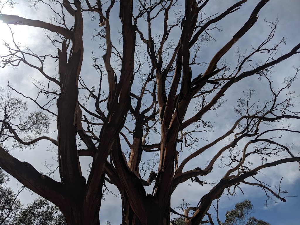 Crystal Brook Picnic Area | Cardinia Reservoir Access Rd, Emerald VIC 3782, Australia | Phone: (03) 8427 2002