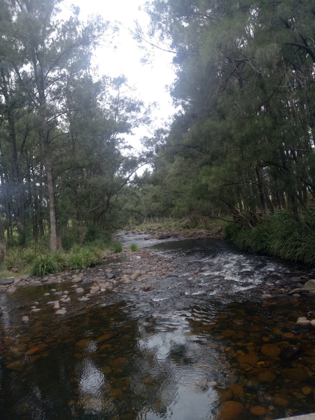 Cobark Park Picnic & Camping | Barrington Tops Rd, Barrington Tops NSW 2422, Australia