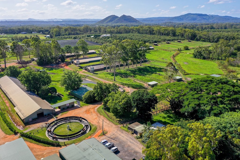 Embrace Farm | 1047 Steve Irwin Wy, Glass House Mountains QLD 4518, Australia | Phone: 0423 467 733