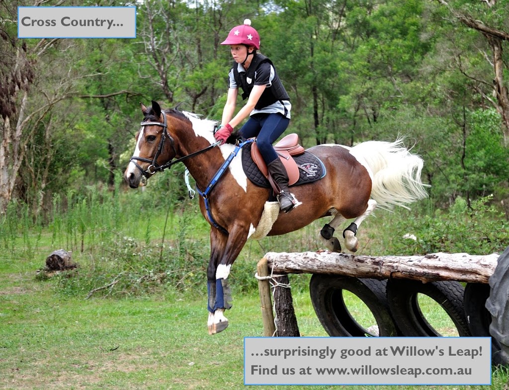 Willows Leap Equestrian | 4822 Great N Rd, Laguna NSW 2325, Australia | Phone: (02) 4998 8623