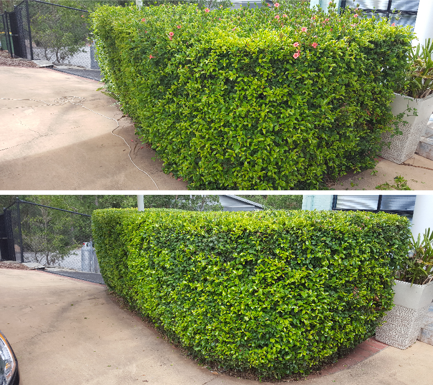 CK Lawn Mowing | 70-78 Elwyn Dr, Veresdale Scrub QLD 4285, Australia | Phone: 0423 088 840