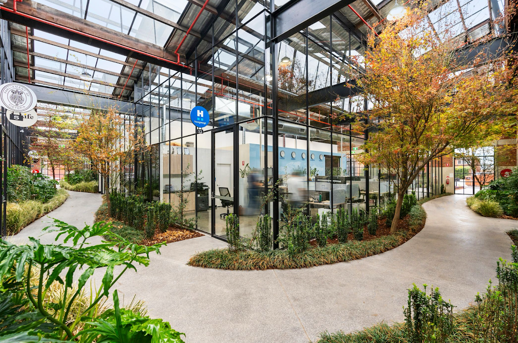 HAMILTON GREEN | Federal Mills @ Pivot City, E1D/33 Mackey St, North Geelong VIC 3215, Australia | Phone: (03) 5224 2788
