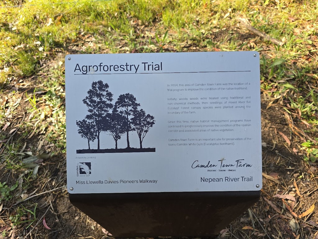 Nepean River Trail Camden (Not Camden Bike Track) | 42 Exeter St, Camden NSW 2570, Australia | Phone: (02) 4654 7829