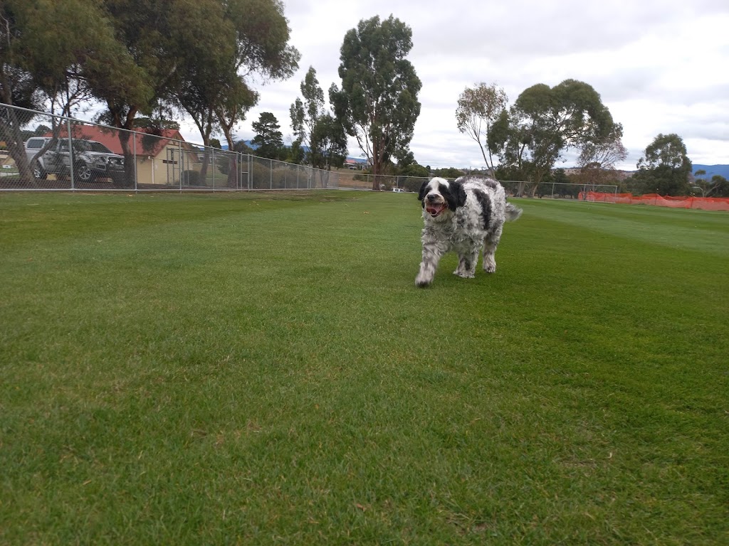 Tassie Flying Paws Dog Club | Glen Lea Rd, Pontville TAS 7030, Australia | Phone: 0407 873 485
