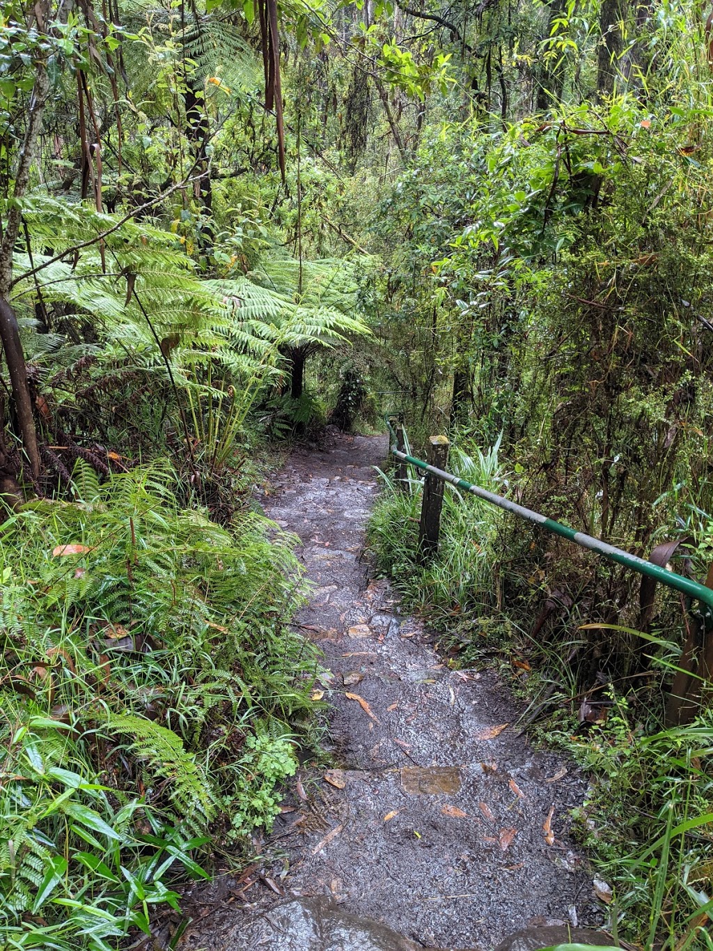 Olinda Falls | Falls Track, Olinda VIC 3788, Australia | Phone: 13 19 63